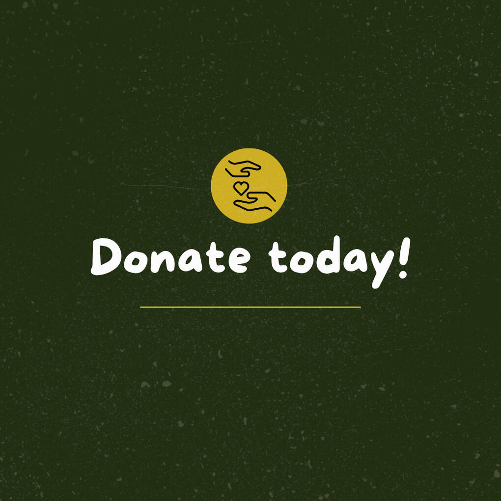 Other Projects - OVI London